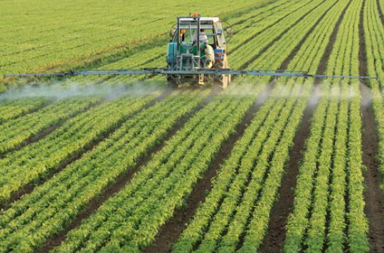 Lire la suite à propos de l’article Les pesticides mis aux arrêts de non-rigueur