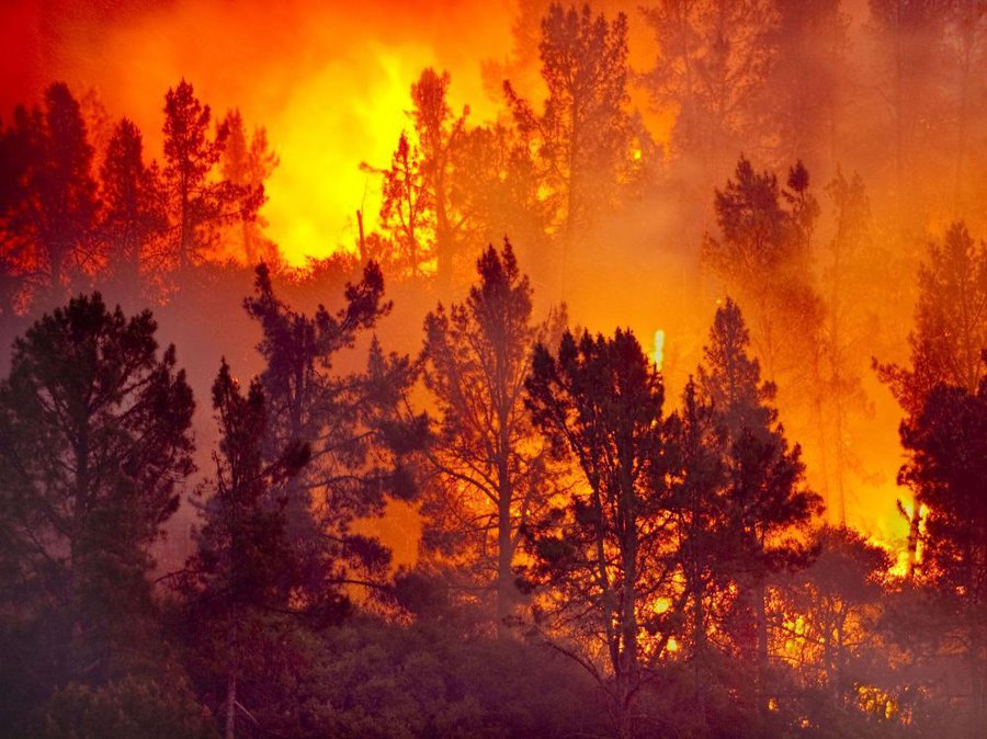 Lire la suite à propos de l’article Eviter les incendies : un premier défi estival