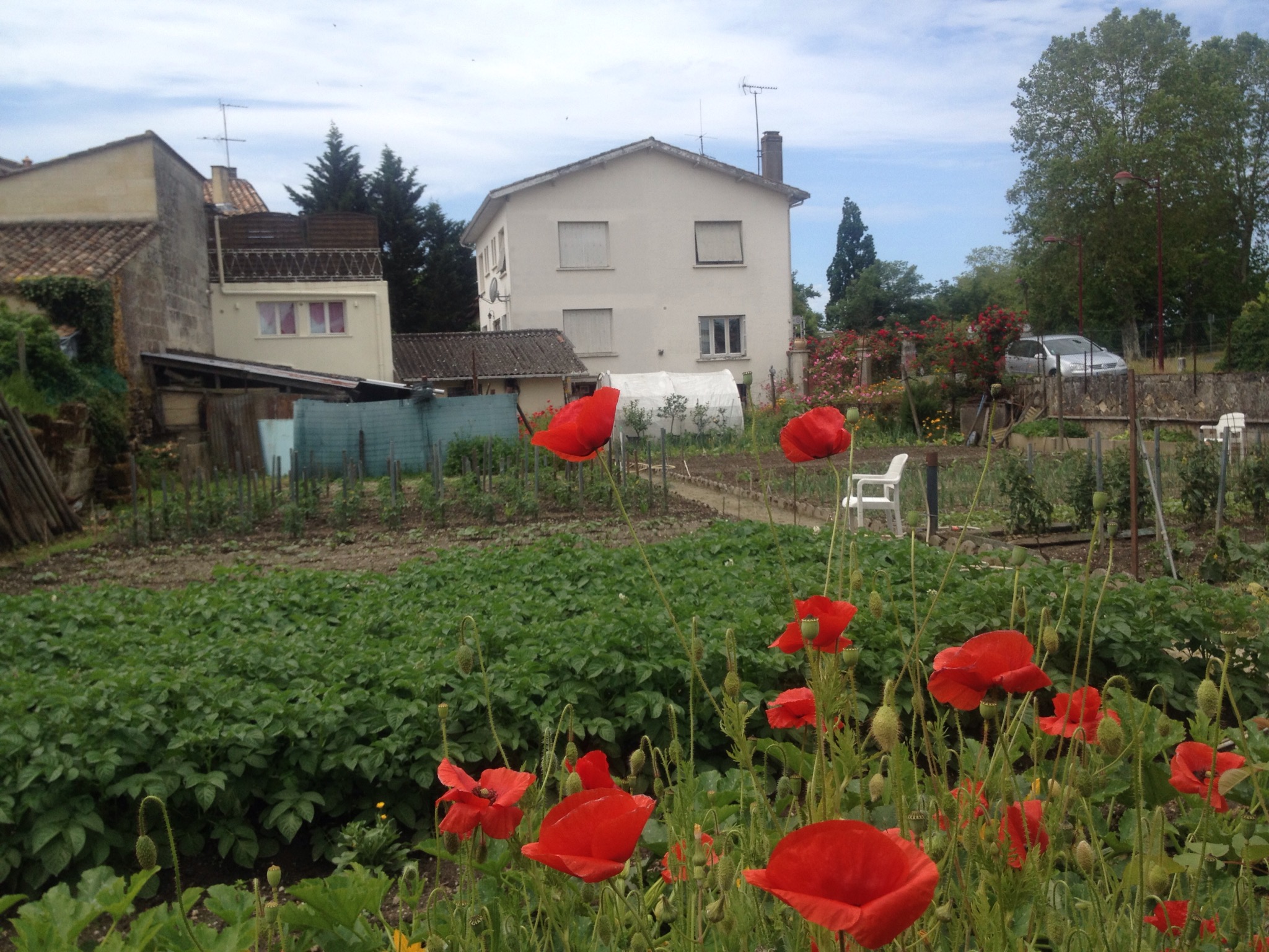 Lire la suite à propos de l’article Mario, l’Italien qui a su cultiver son jardin français